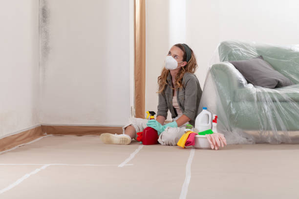 Reliable Mold Remediation contractor in Stony Creek, VA by WQB Mold Removal